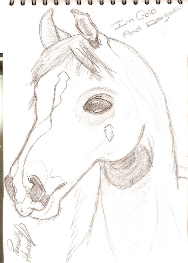 Mine tegninger - Im Gold And Dangerous (Dixie)

Ejer Lykke - Miss perfect 2 (Rådgiver) * Team TWH *

Tegnet d. 18 marts 2008

det ene øre gik galt  :/ billede 2