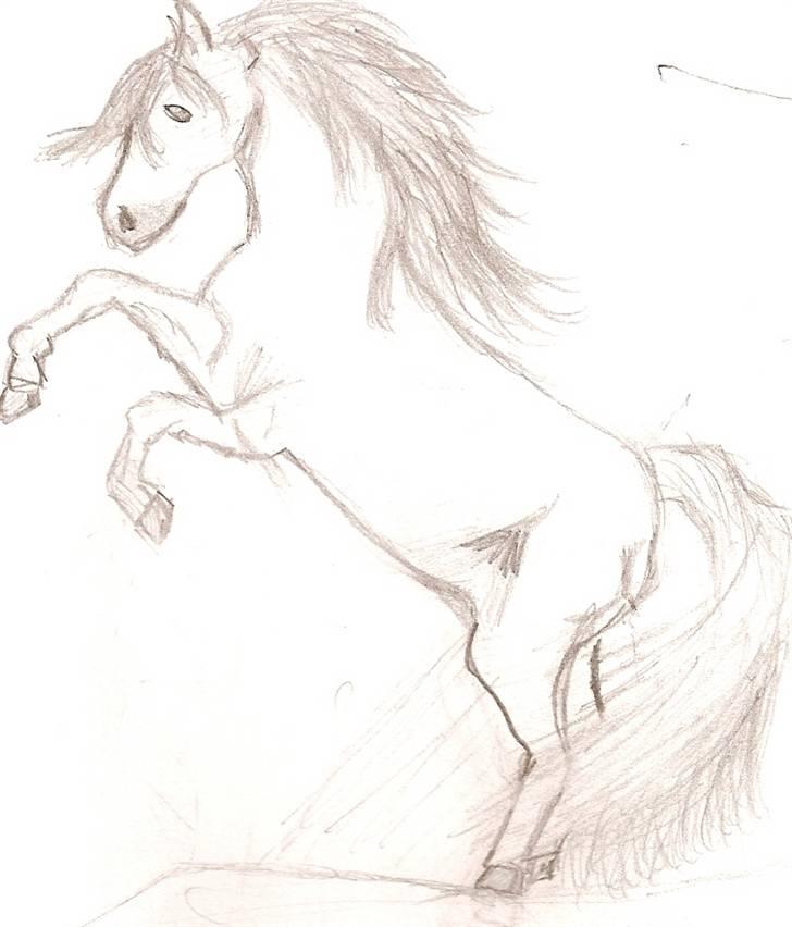 Mine tegninger - Stejlende hest....

gammel tegning var nok 11... billede 3