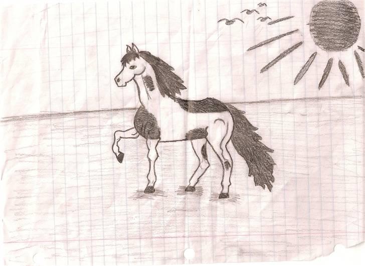 Mine tegninger - Pinto hest...

10 år gammel da den blev tegnet (: billede 4