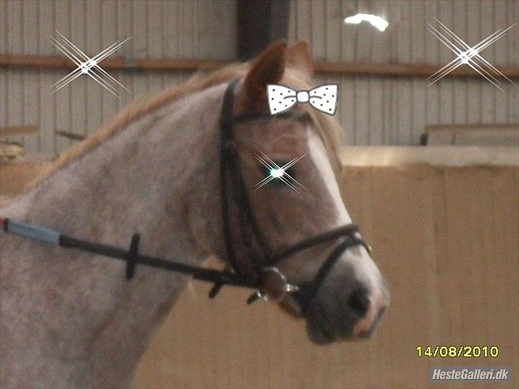 SKØRE BILLEDER! billede 1