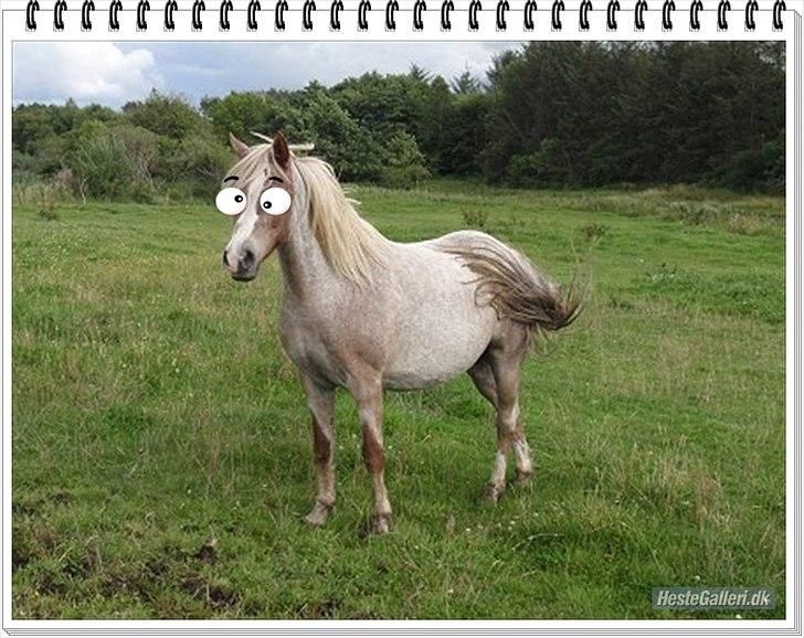 SKØRE BILLEDER! billede 2