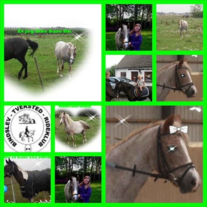 SKØRE BILLEDER! billede 5