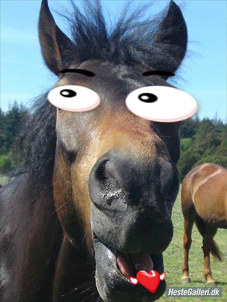 SKØRE BILLEDER! billede 10