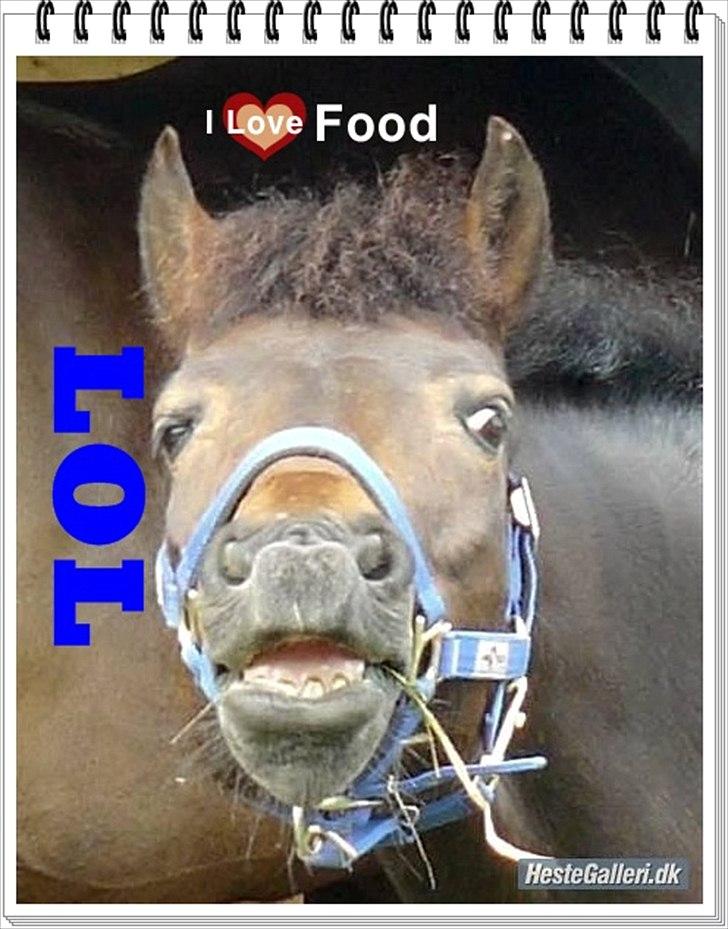 SKØRE BILLEDER! billede 11