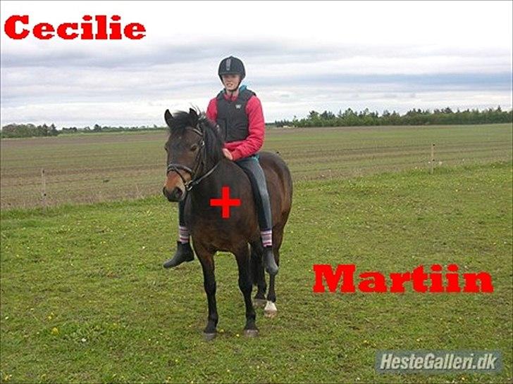 SKØRE BILLEDER! billede 12