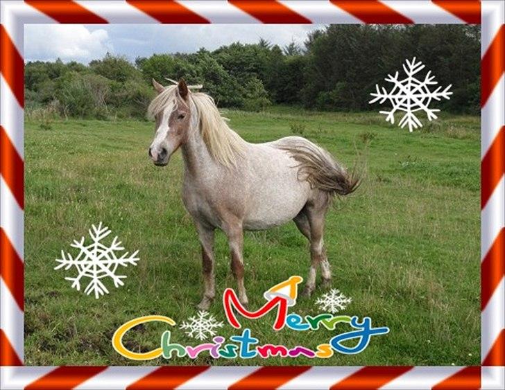 SKØRE BILLEDER! billede 13