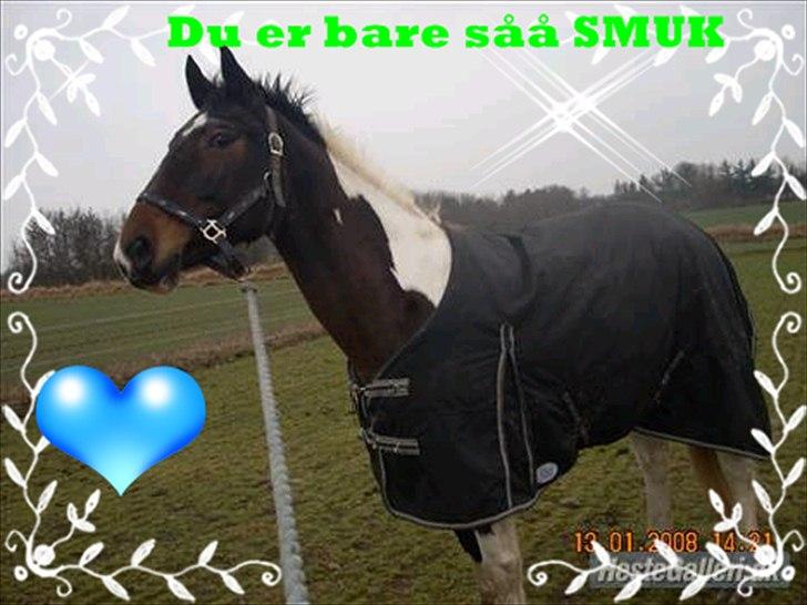 SKØRE BILLEDER! billede 14