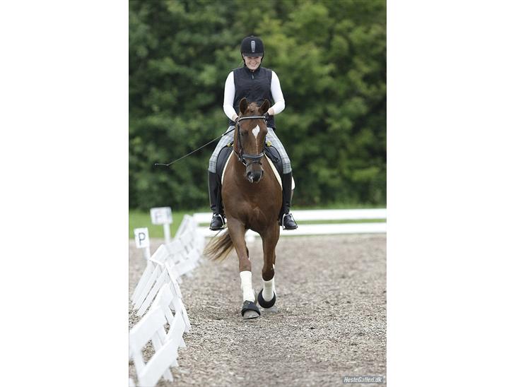 {{currentPhoto.altText}} billede {{currentPhoto.number}}