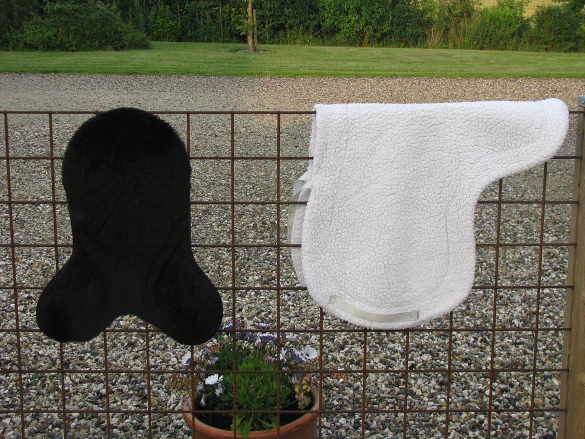 Mit udstyr til hestene. - Rumpe varmer og sadel formet lammeunderlag. billede 8