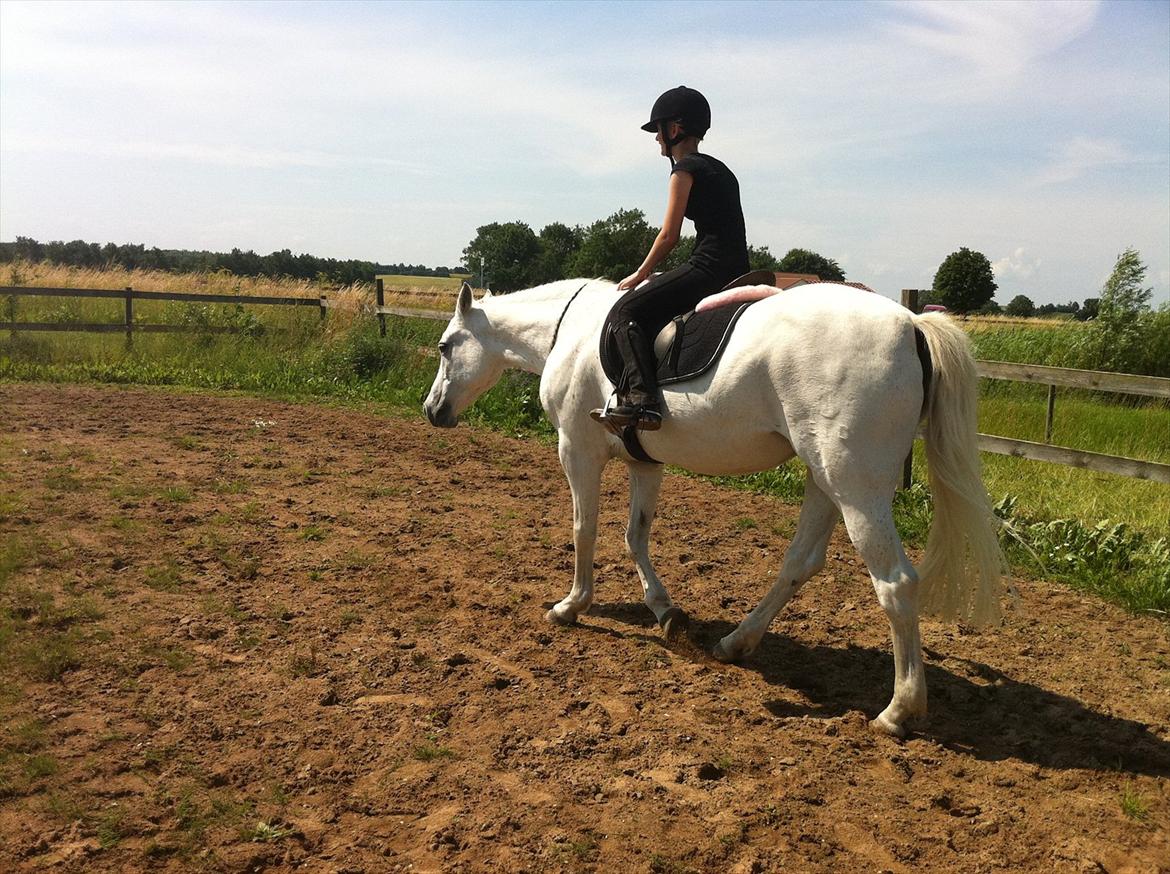 [Camilla Stormont] Random hest... - Ude og undervise Emilie med Tøsen. billede 19