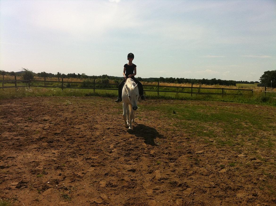 [Camilla Stormont] Random hest... - Ude og undervise Emilie med Tøsen. billede 20