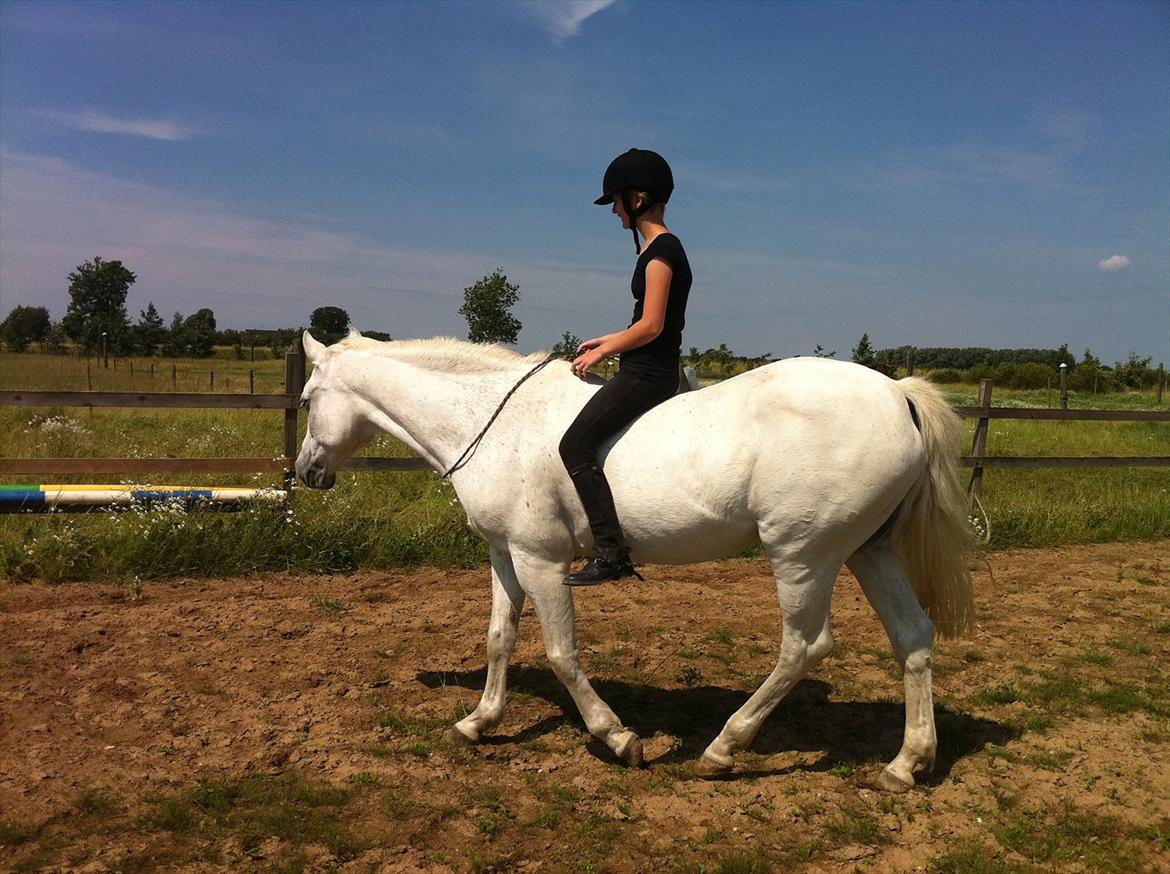 [Camilla Stormont] Random hest... - Ude og undervise Emilie med Tøsen. billede 21