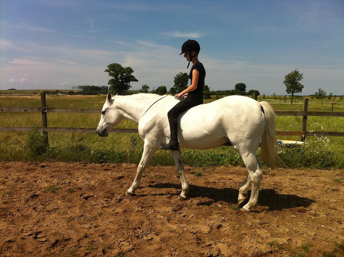 [Camilla Stormont] Random hest... - Ude og undervise Emilie med Tøsen. billede 22