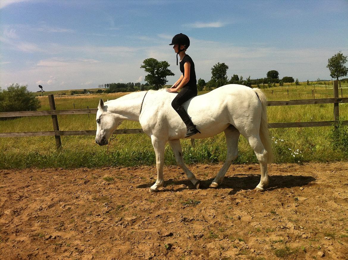 [Camilla Stormont] Random hest... - Ude og undervise Emilie med Tøsen. billede 23