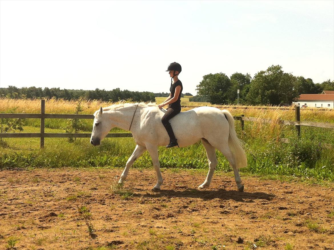 [Camilla Stormont] Random hest... - Ude og undervise Emilie med Tøsen. billede 25