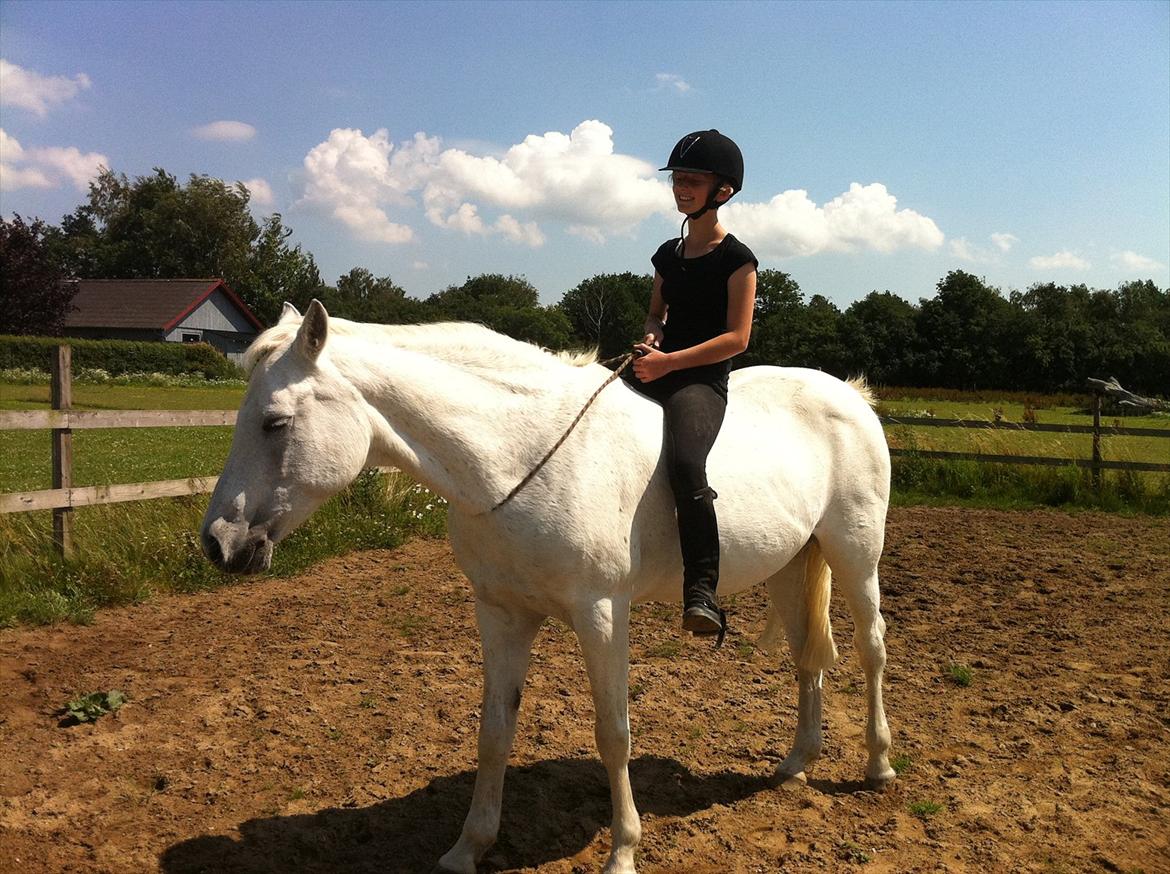 [Camilla Stormont] Random hest... - Ude og undervise Emilie med Tøsen. billede 27