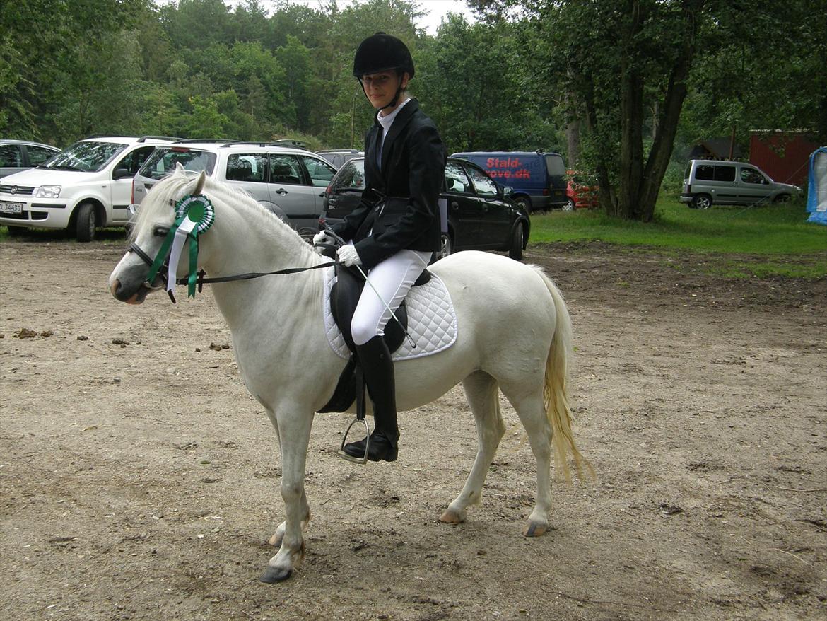 Engelsk rideklasse til Welsh Show billede 16