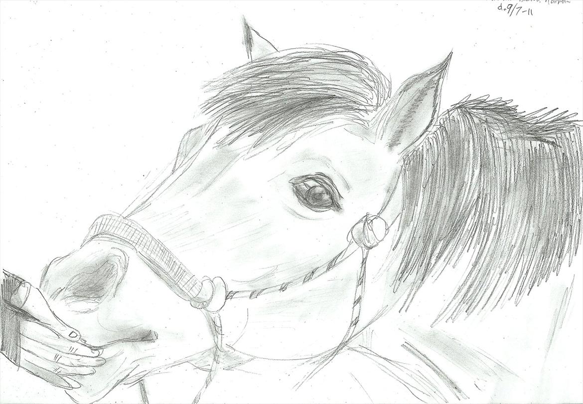 Tegninger :D   - Tegning til * MB-Foto * :)
Tegnet lørdag den. 9. juli 2011 
 billede 302