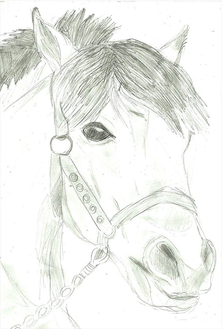 Tegninger :D   - Tegning til Lion + Katja 4-ever! <3 O :)
Tegnet lørdag den 9. juli 2011
 billede 304