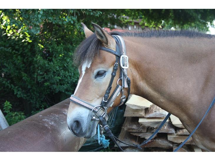 {{currentPhoto.altText}} billede {{currentPhoto.number}}