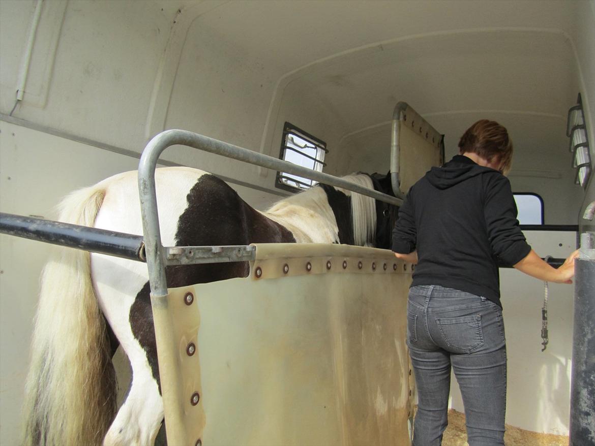 Ridelejr 2011 - Tina Lund - Skal til at læsse bassen (highlight) ;) billede 3