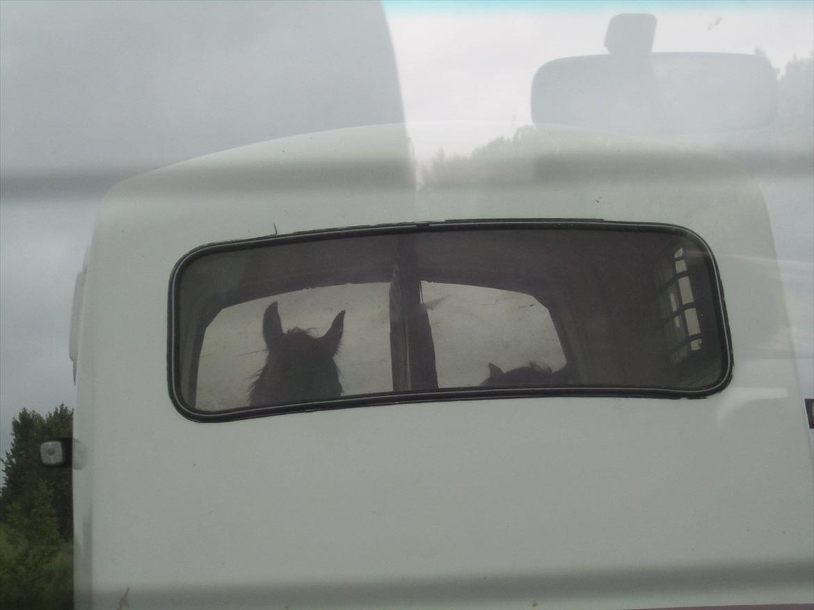 Ridelejr 2011 - Tina Lund - På vej :D billede 8