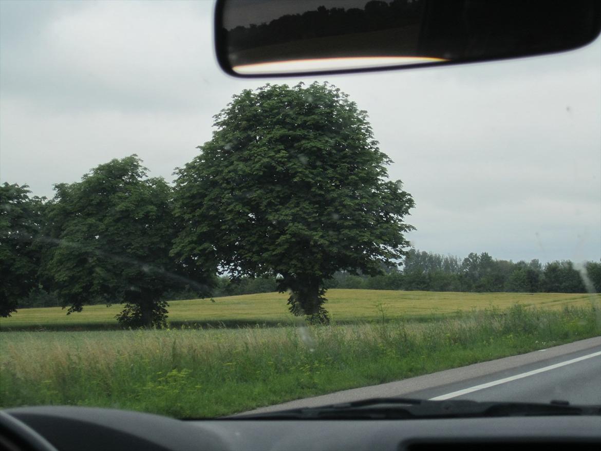 Ridelejr 2011 - Tina Lund - på vej igen :D billede 10