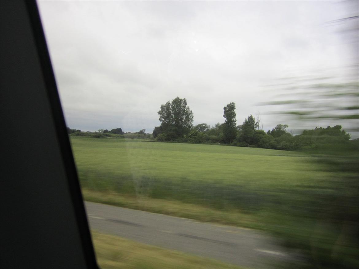 Ridelejr 2011 - Tina Lund billede 11