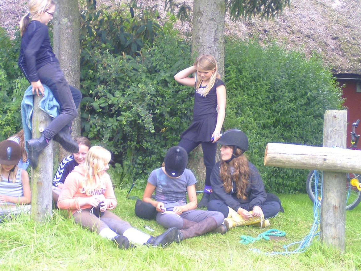 Ridelejre hos Mette Hald Ramussen billede 2