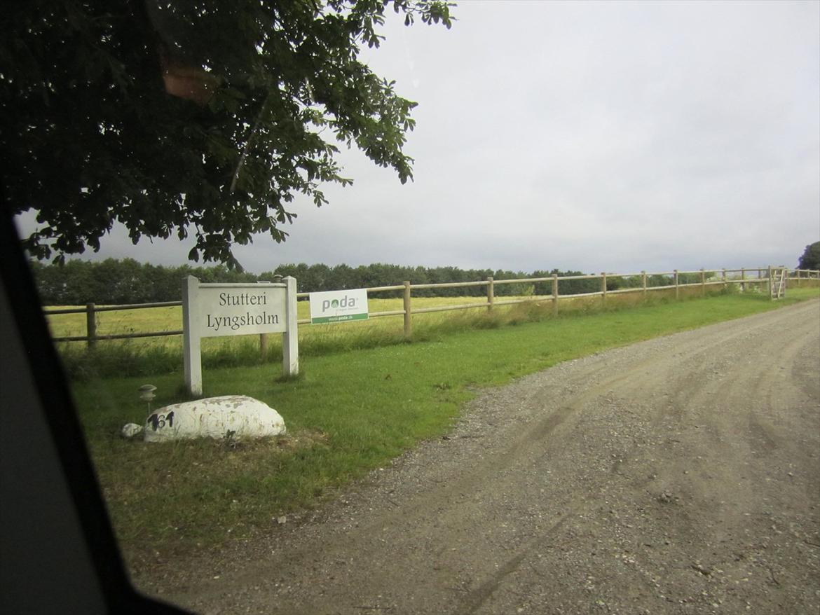 Ridelejr 2011 - Tina Lund - Ankomst til Stutteri Lyngsholm :-) billede 1