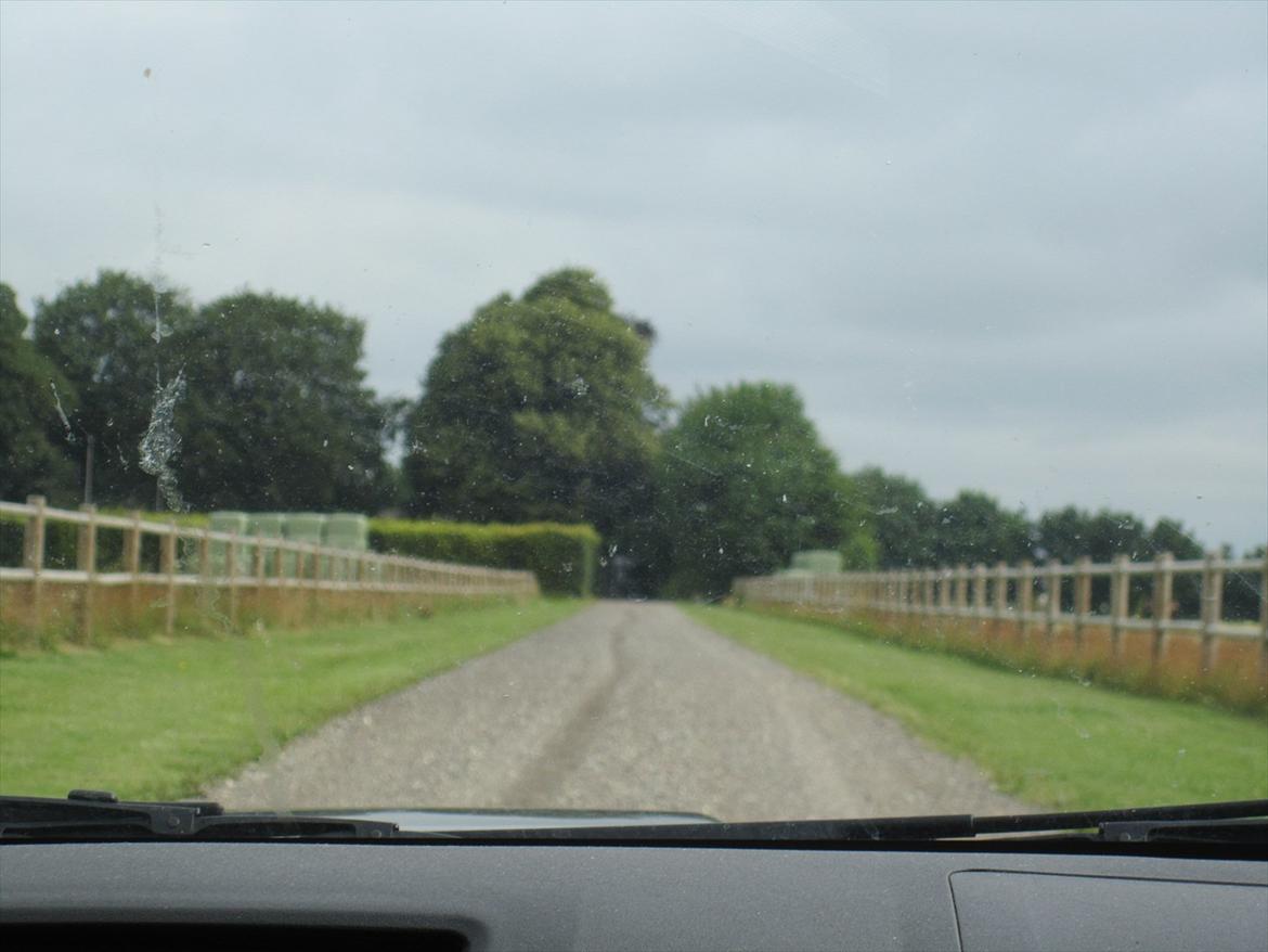 Ridelejr 2011 - Tina Lund - Tinas laange indkørsel (som vi forresten tog en spurtgalop imod Allan på) ;b billede 14