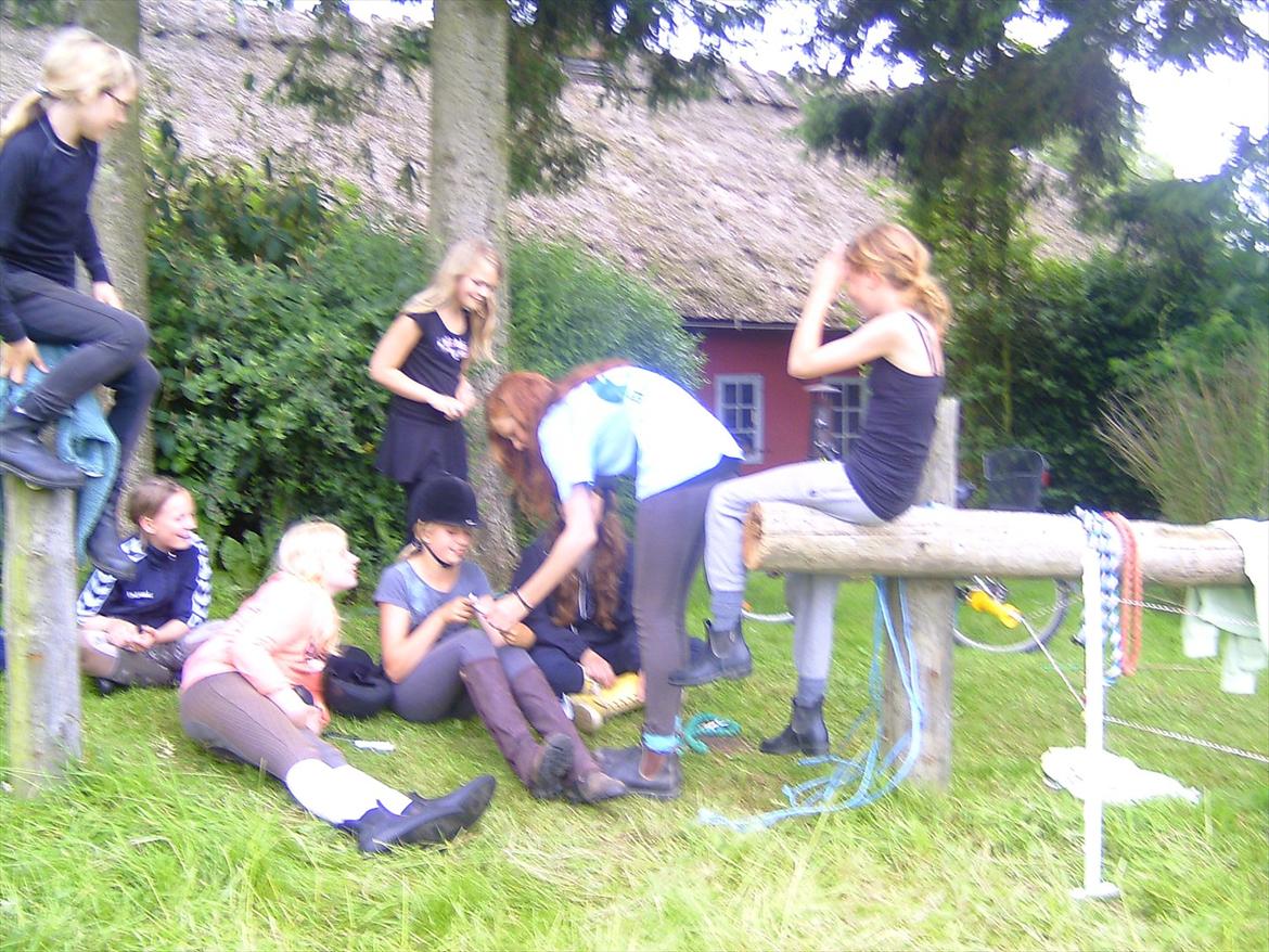 Ridelejre hos Mette Hald Ramussen billede 7