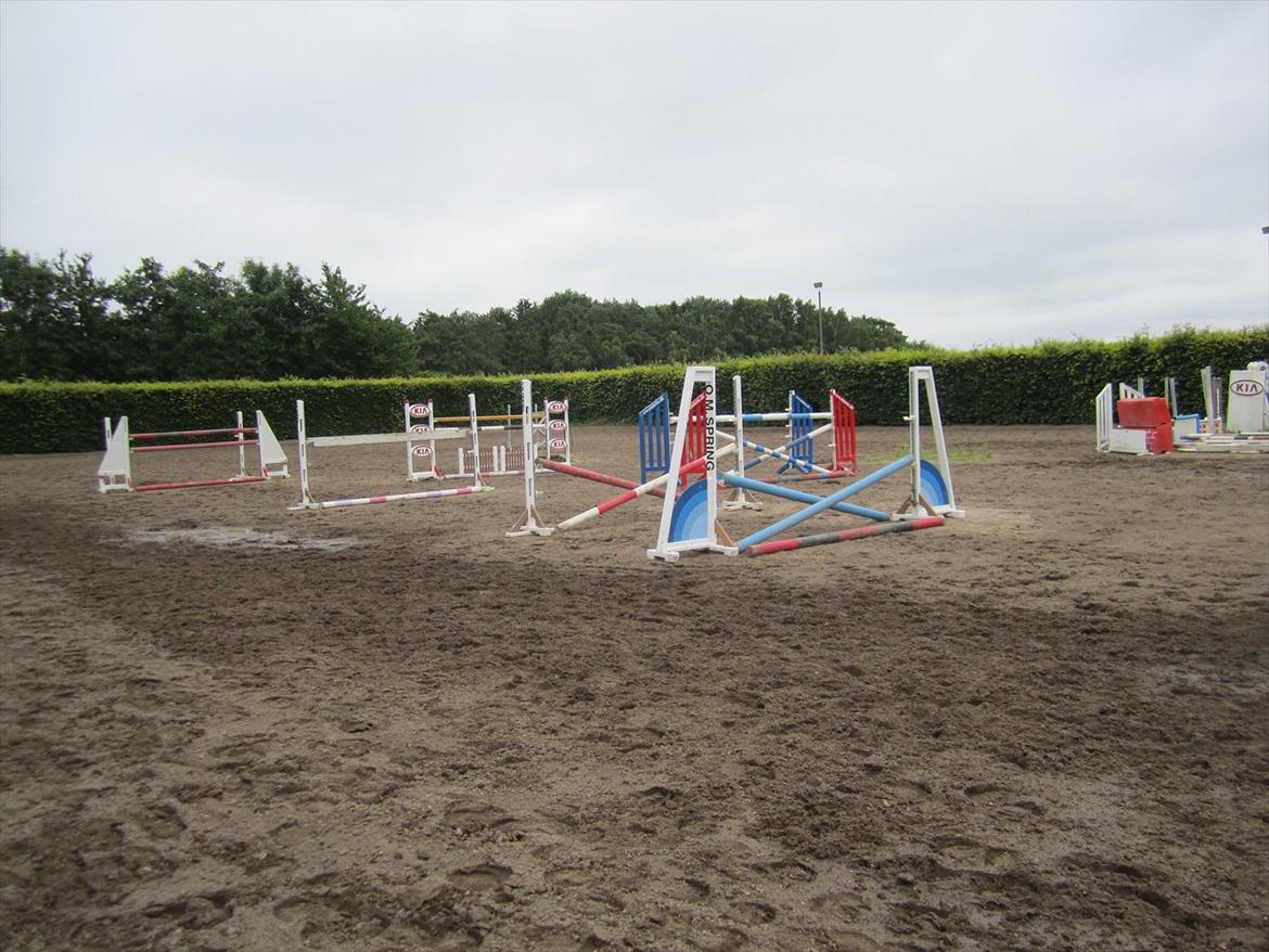 Ridelejr 2011 - Tina Lund - Spring på hendes bane billede 15