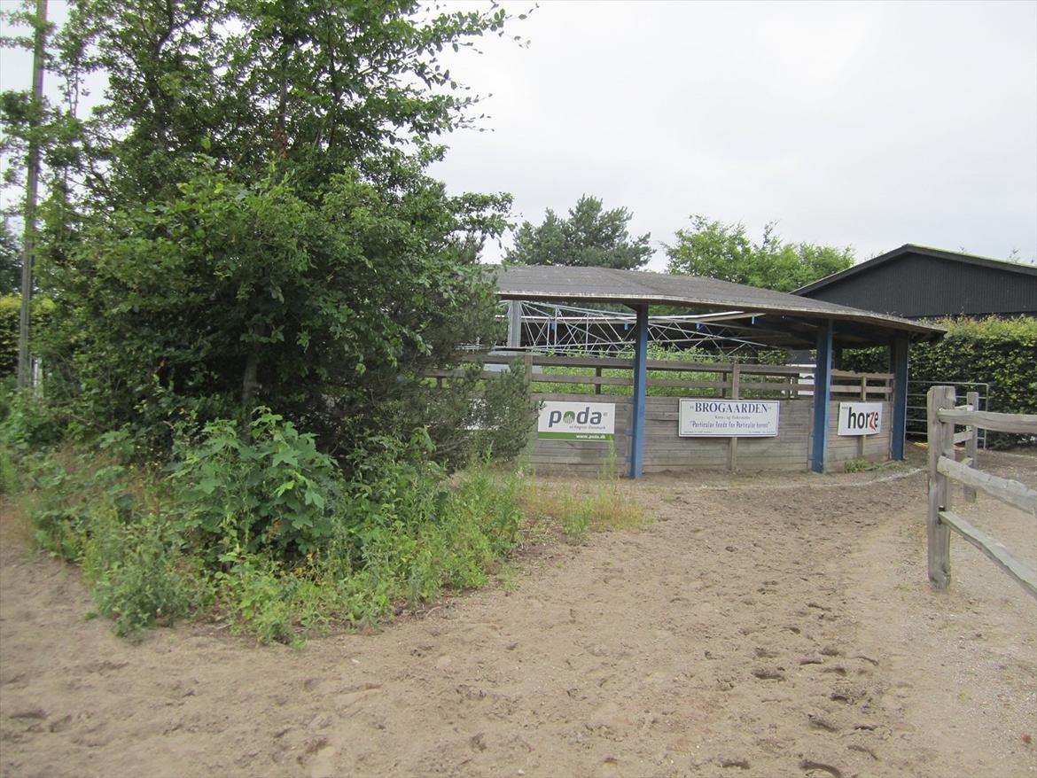 Ridelejr 2011 - Tina Lund - Skridtmaskine og indgang til ridbanen ;) billede 16