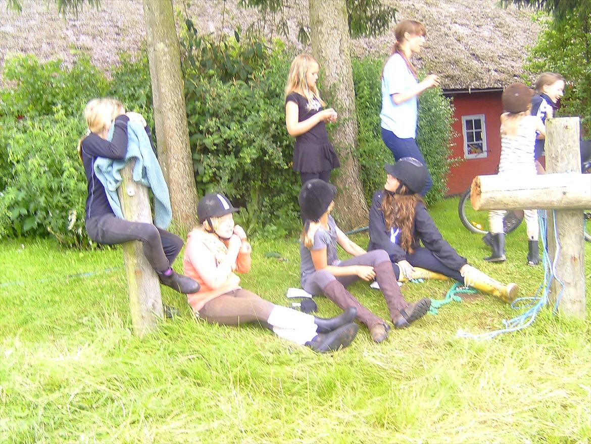 Ridelejre hos Mette Hald Ramussen billede 11