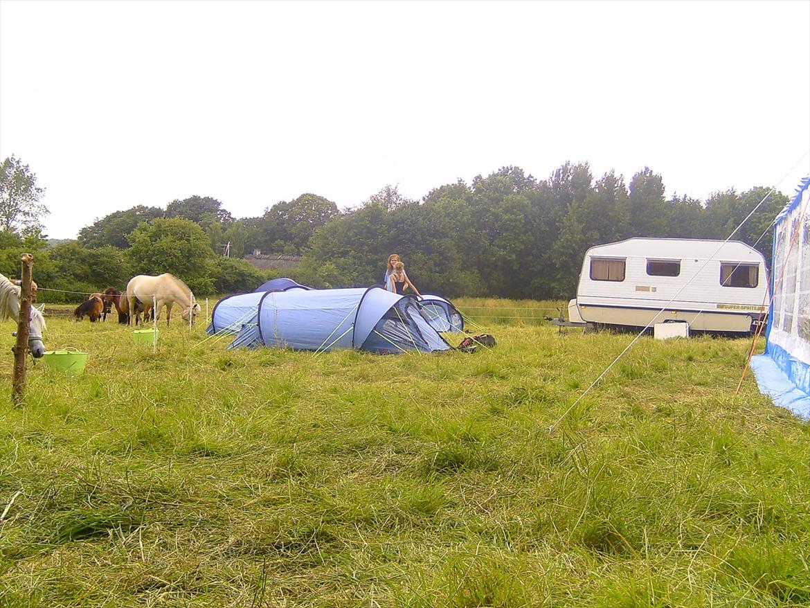 Ridelejre hos Mette Hald Ramussen billede 12