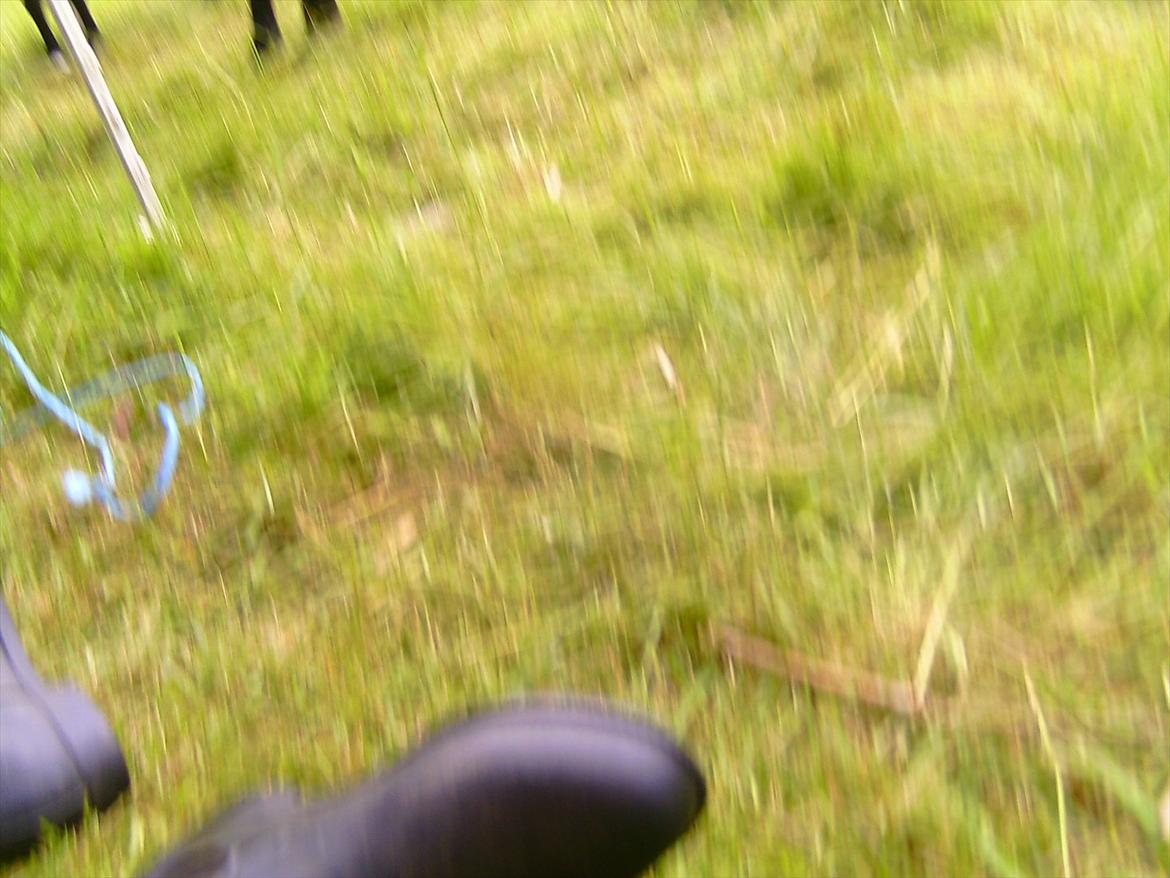 Ridelejre hos Mette Hald Ramussen billede 15