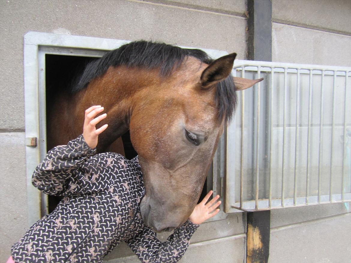 Ridelejr 2011 - Tina Lund billede 22