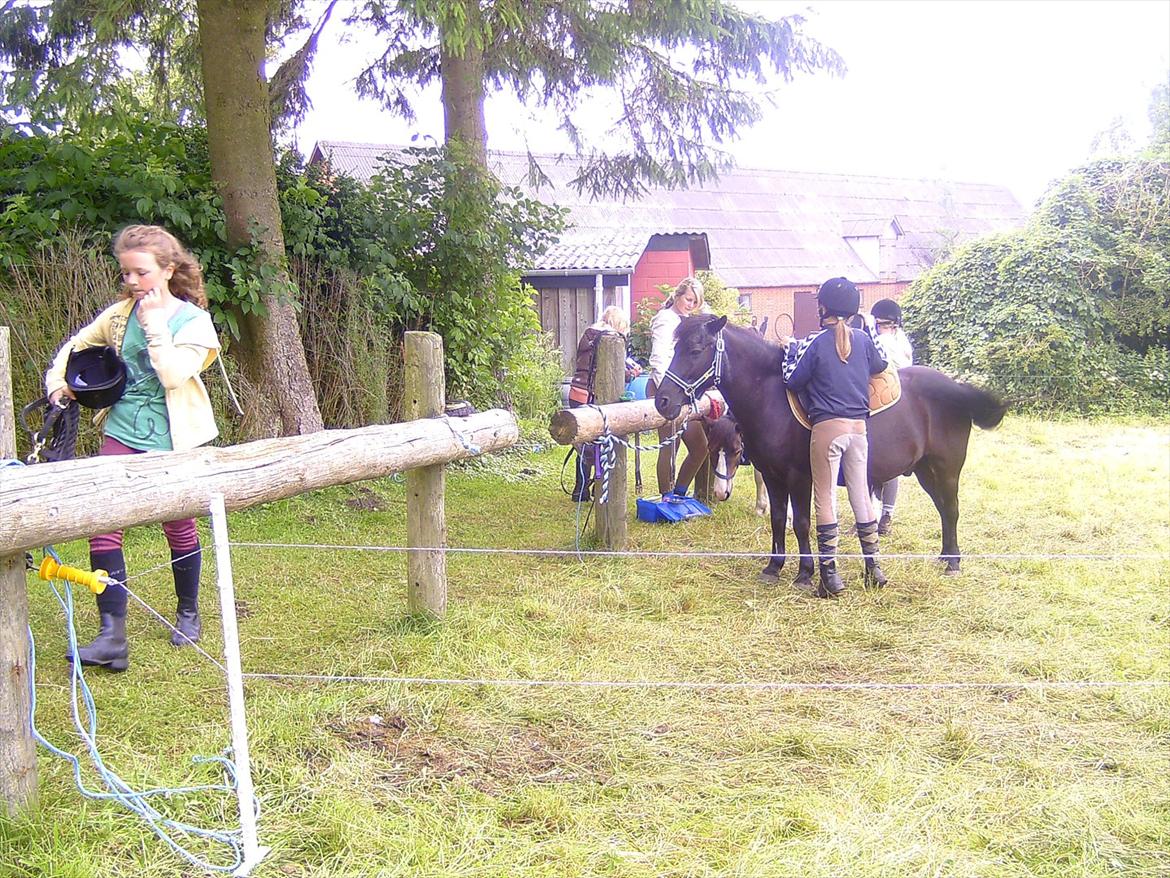 Ridelejre hos Mette Hald Ramussen billede 35