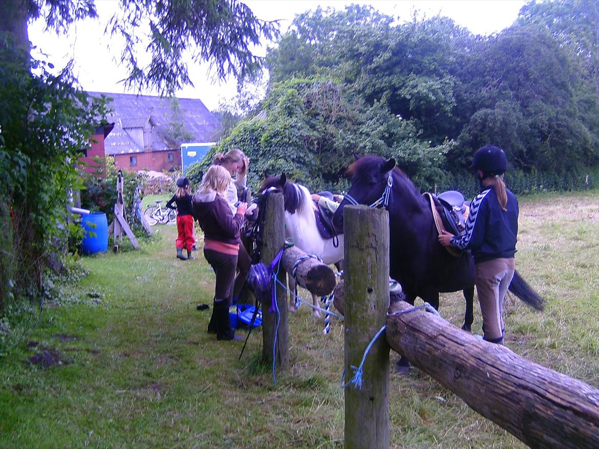 Ridelejre hos Mette Hald Ramussen billede 36