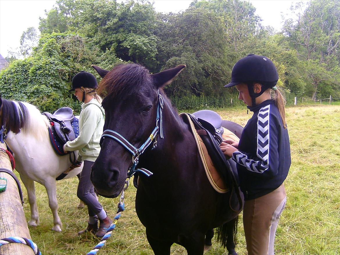 Ridelejre hos Mette Hald Ramussen billede 37