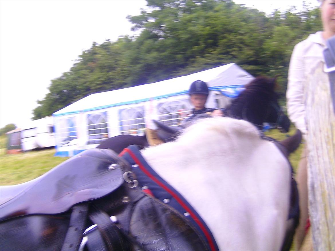 Ridelejre hos Mette Hald Ramussen billede 39