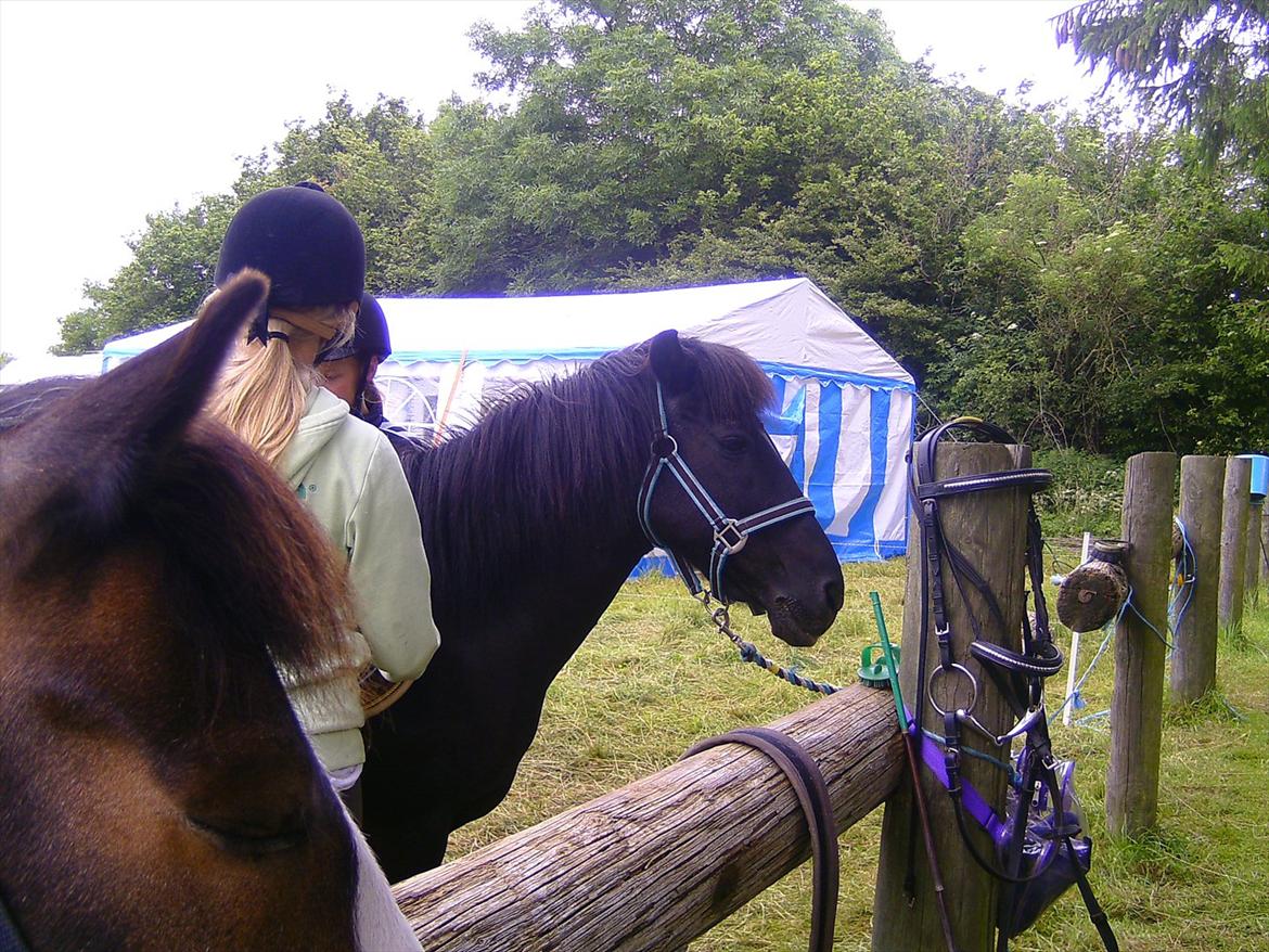 Ridelejre hos Mette Hald Ramussen billede 43