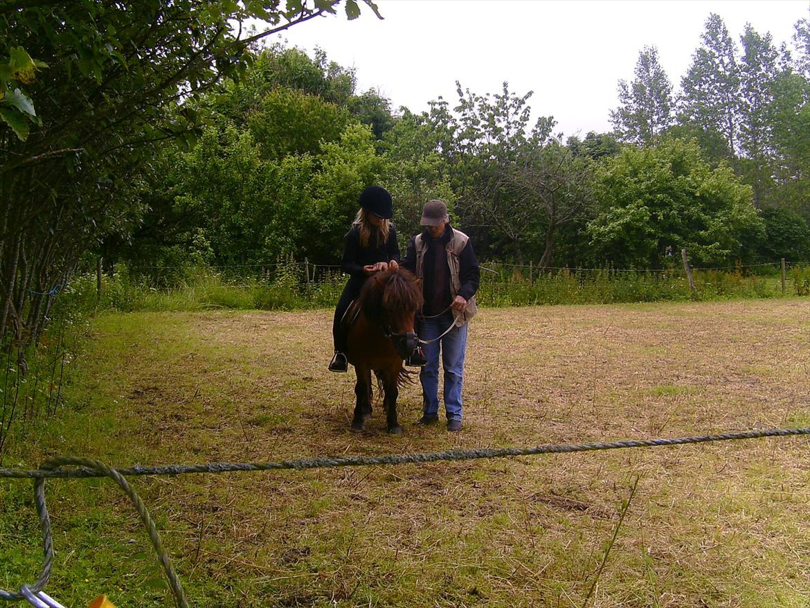 Ridelejre hos Mette Hald Ramussen billede 47