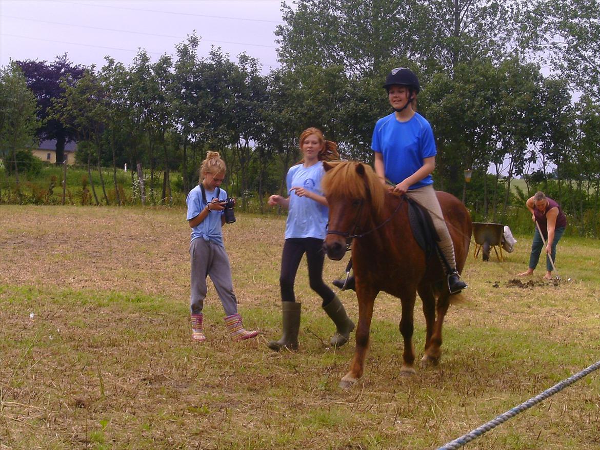 Ridelejre hos Mette Hald Ramussen billede 49