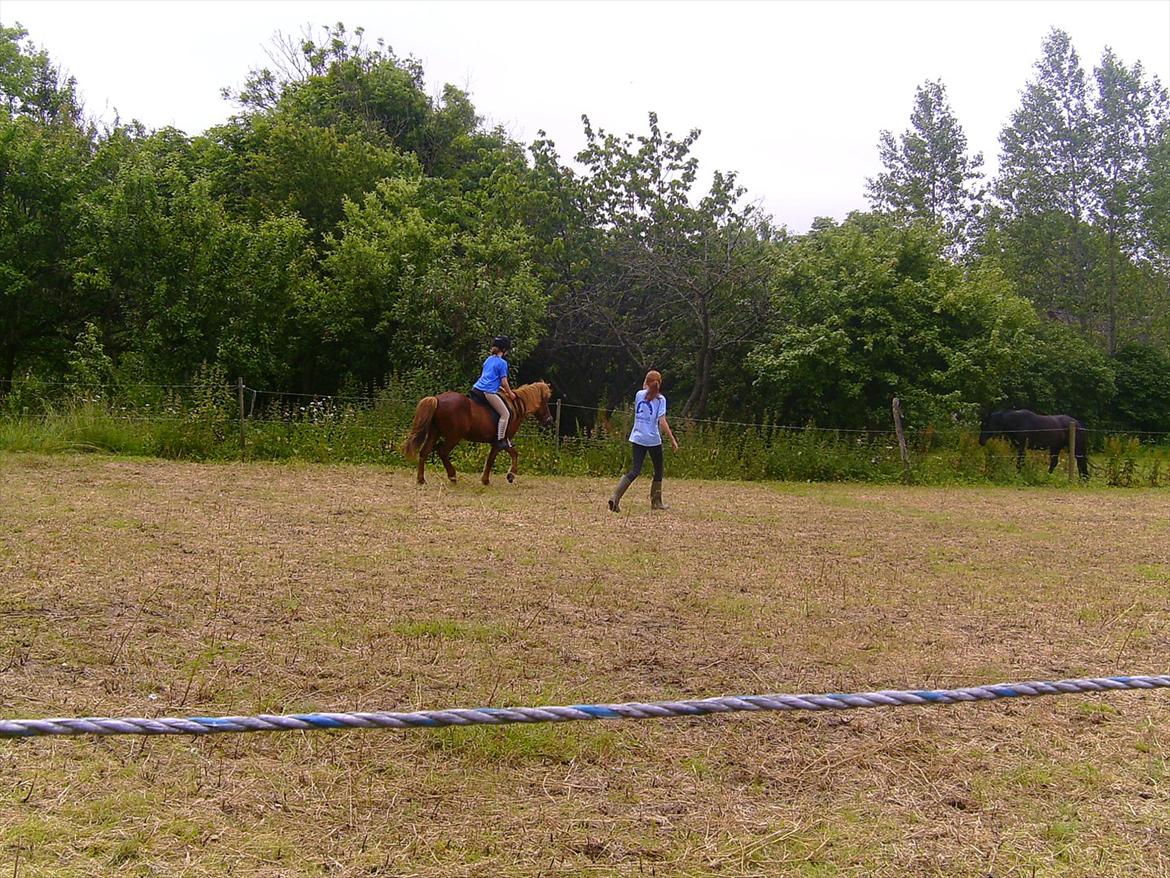 Ridelejre hos Mette Hald Ramussen billede 50