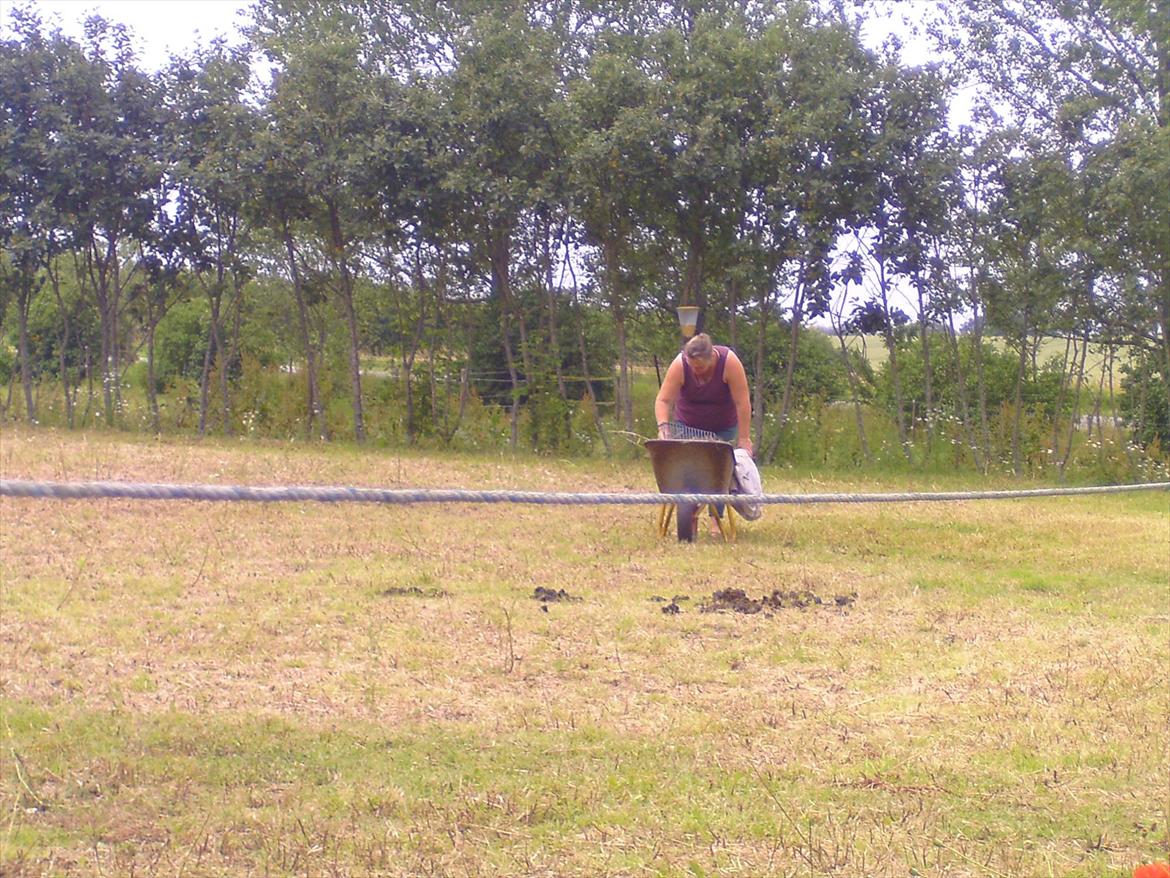 Ridelejre hos Mette Hald Ramussen billede 51