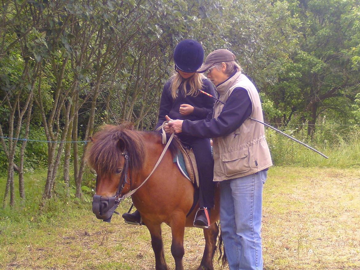 Ridelejre hos Mette Hald Ramussen billede 53