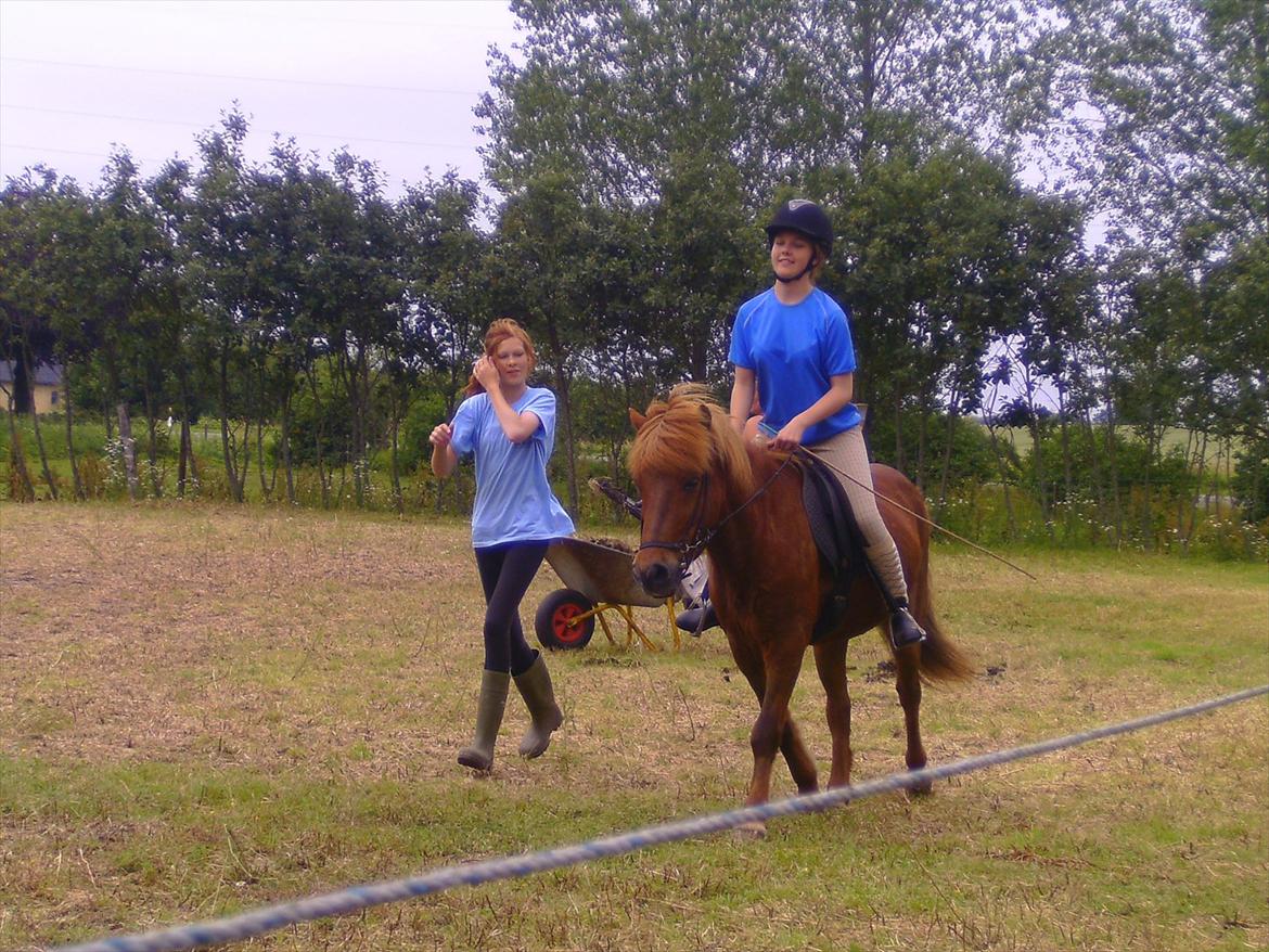 Ridelejre hos Mette Hald Ramussen billede 54