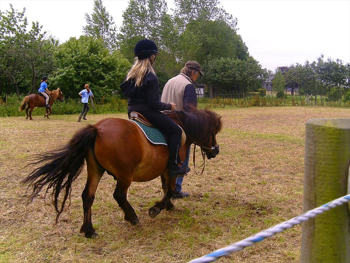 Ridelejre hos Mette Hald Ramussen billede 56